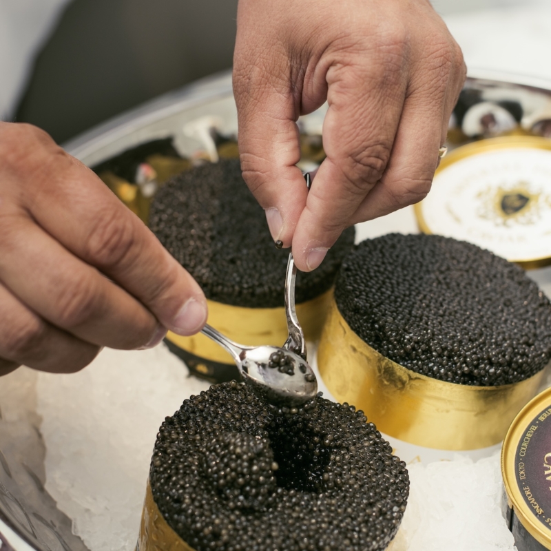 180926_DMM_Imperial-Heritage-Caviar_016